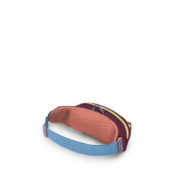Τσαντάκι Mέσης Osprey Daylite Waist Moody Burgundy