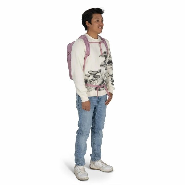 Σακίδιο πλάτης Osprey Daylite 13lt O/S Iris Pink