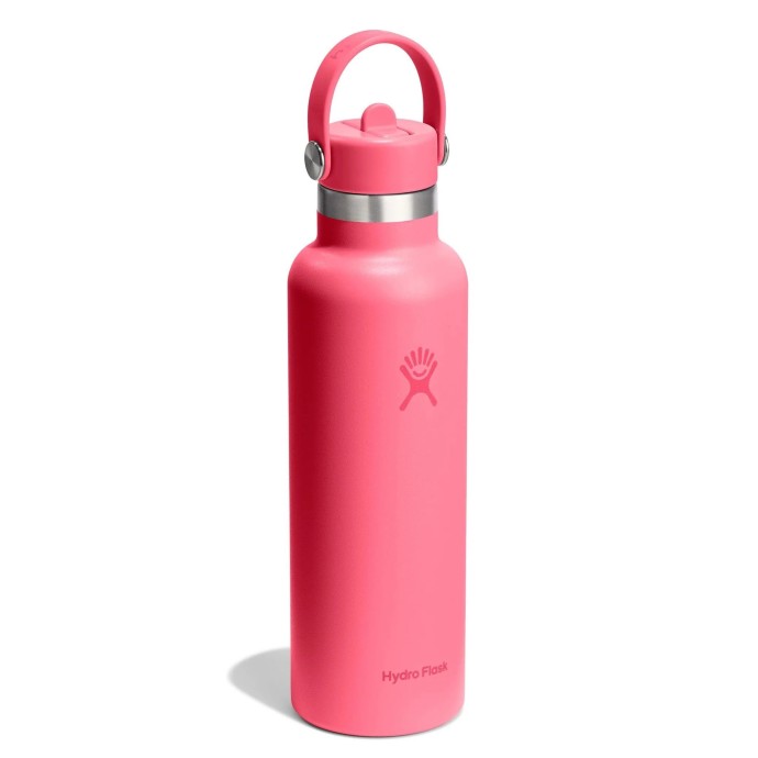 Hydro Flask Standard Flex Straw Cap Μπουκάλι Θερμός Ανοξείδωτο 621ml Popstar Pink