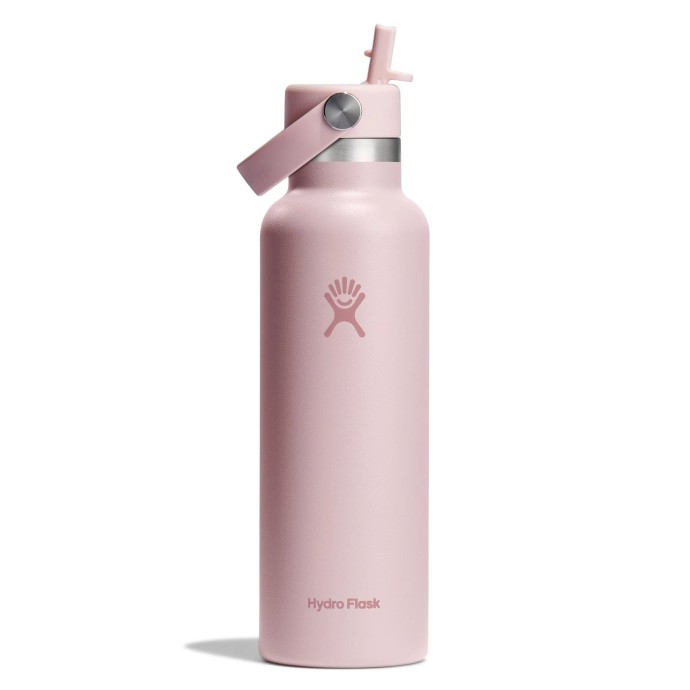 Hydro Flask Standard Flex Straw Cap Μπουκάλι Θερμός Ανοξείδωτο 621ml Trillium Hydro Flask Standard Flex Straw Cap Μπουκάλι Θερμός Ανοξείδωτο 621ml Trillium