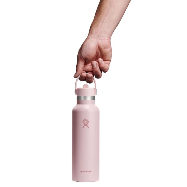 Hydro Flask Standard Flex Straw Cap Μπουκάλι Θερμός Ανοξείδωτο 621ml Trillium Hydro Flask Standard Flex Straw Cap Μπουκάλι Θερμός Ανοξείδωτο 621ml Trillium