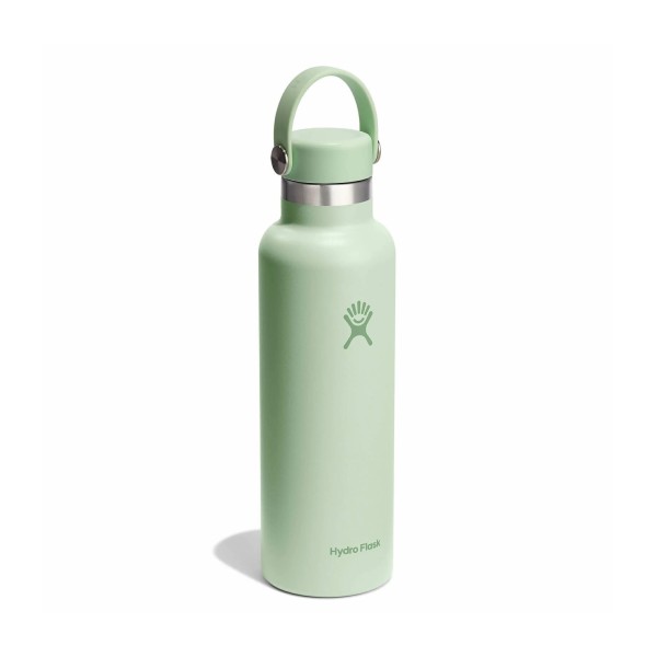 Hydro Flask Standard Flex Cap Μπουκάλι Θερμός Ανοξείδωτο 621ml Aloe