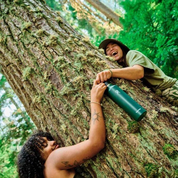 Hydro Flask Standard Flex Cap Μπουκάλι Θερμός Ανοξείδωτο 621ml Aloe