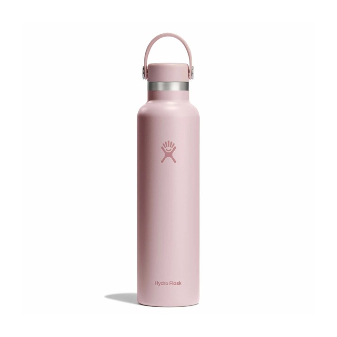 Hydro Flask Standard Flex Cap Μπουκάλι Θερμός Ανοξείδωτο 710ml Trillium