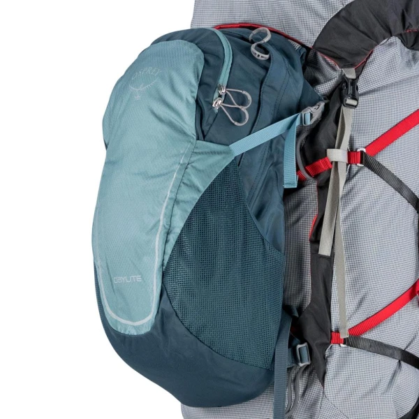 Σακίδιο Πλάτης Outdoor Osprey Aether 65 L/XL Garlic Mustard ΣΑΚΙΔΙΑ ΠΛΑΤΗΣ